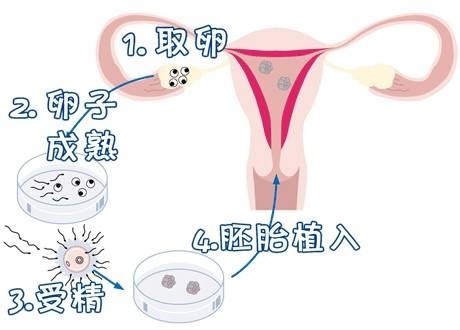 实验室2